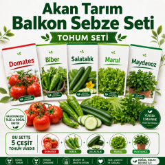 Akan Tarım Balkon Hobi Sebze Tohumu Seti - Domates Biber Salatalık Marul Maydanoz