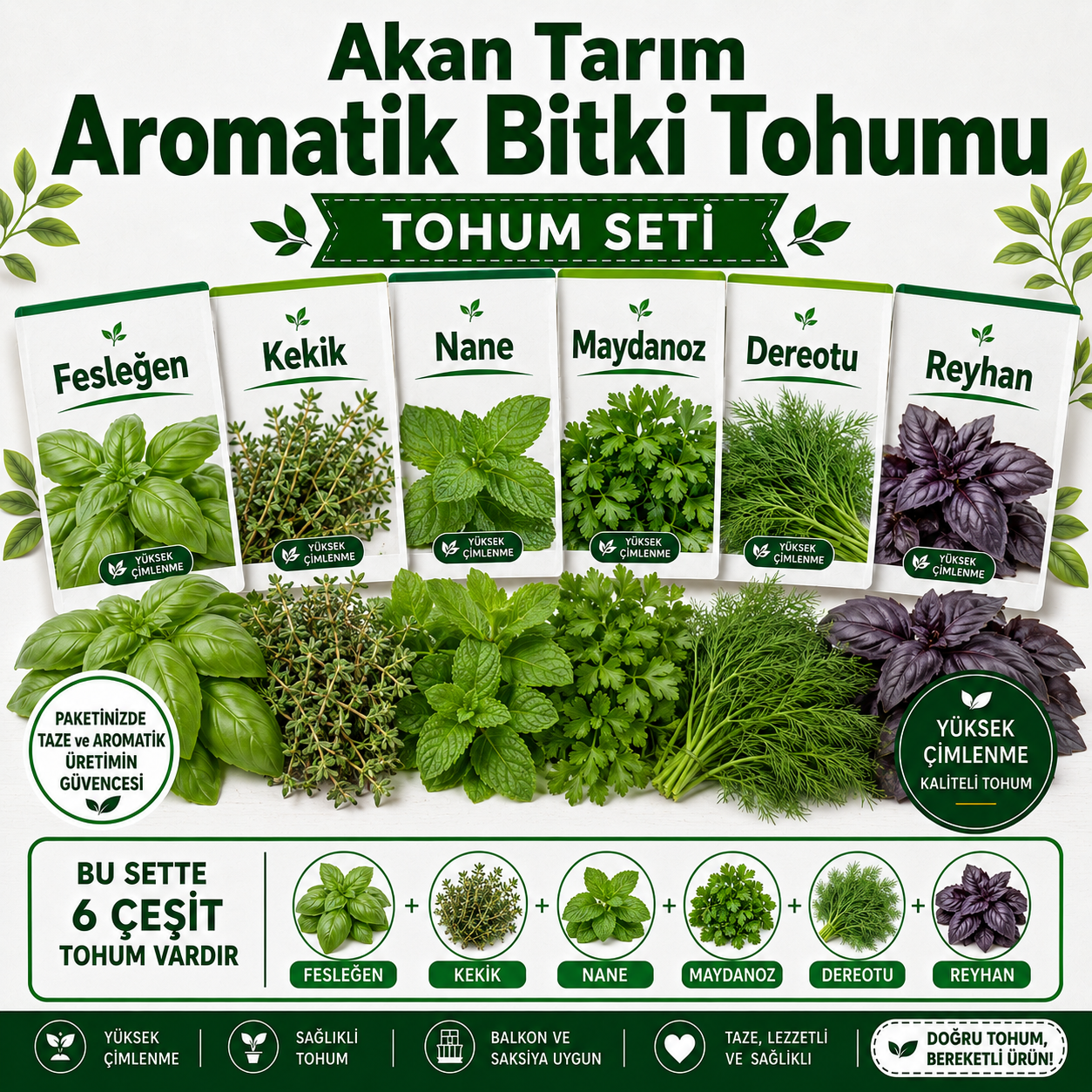 Akan Tarım Aromatik Bitki Tohumu Seti - Fesleğen Kekik Nane Maydanoz Dereotu Reyhan