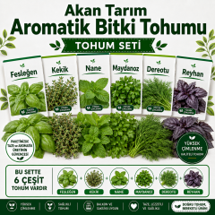 Akan Tarım Aromatik Bitki Tohumu Seti - Fesleğen Kekik Nane Maydanoz Dereotu Reyhan