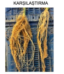 Docto Root Mikro Element ve NPK'LI Köklendirici Sıvı Organomineral Gübre 5 Lt