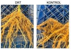 Docto Root Mikro Element ve NPK'LI Köklendirici Sıvı Organomineral Gübre 20 Lt