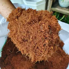 Akan Tarım Cocopeat İthal Hindistan Cevizi Torfu 4-5 KG ≈ 65-70 LT