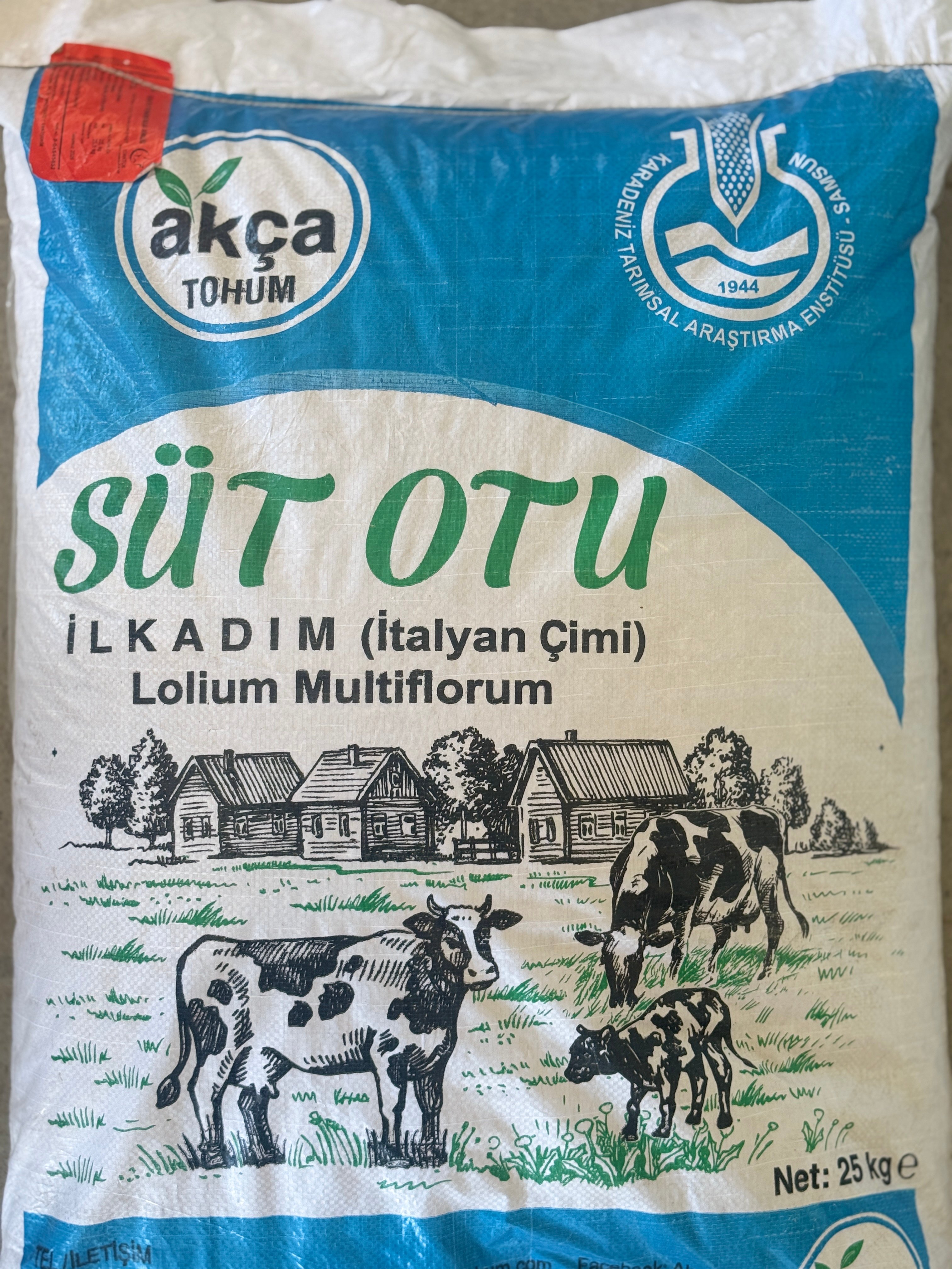 İlk Adım Süt Otu İtalyan Çimi Ryegrass Tohumu 25 KG