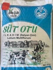İlk Adım Süt Otu İtalyan Çimi Ryegrass Tohumu 25 KG