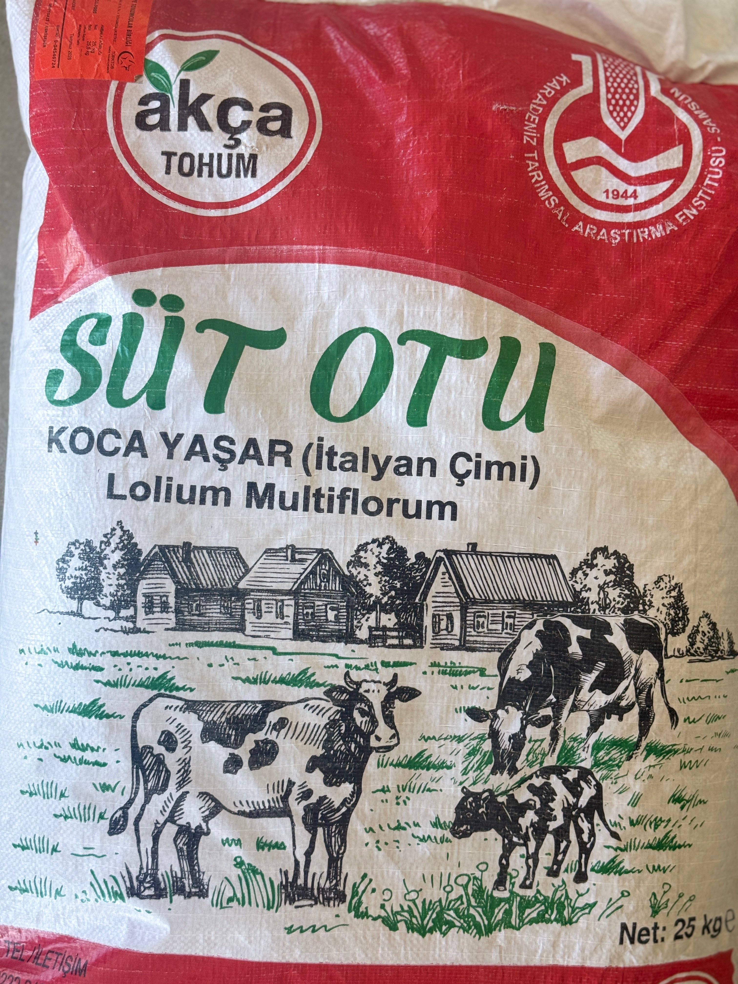 Koca Yaşar Süt Otu İtalyan Çimi Ryegrass Tohumu 25 KG