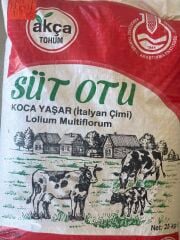 Koca Yaşar Süt Otu İtalyan Çimi Ryegrass Tohumu 25 KG