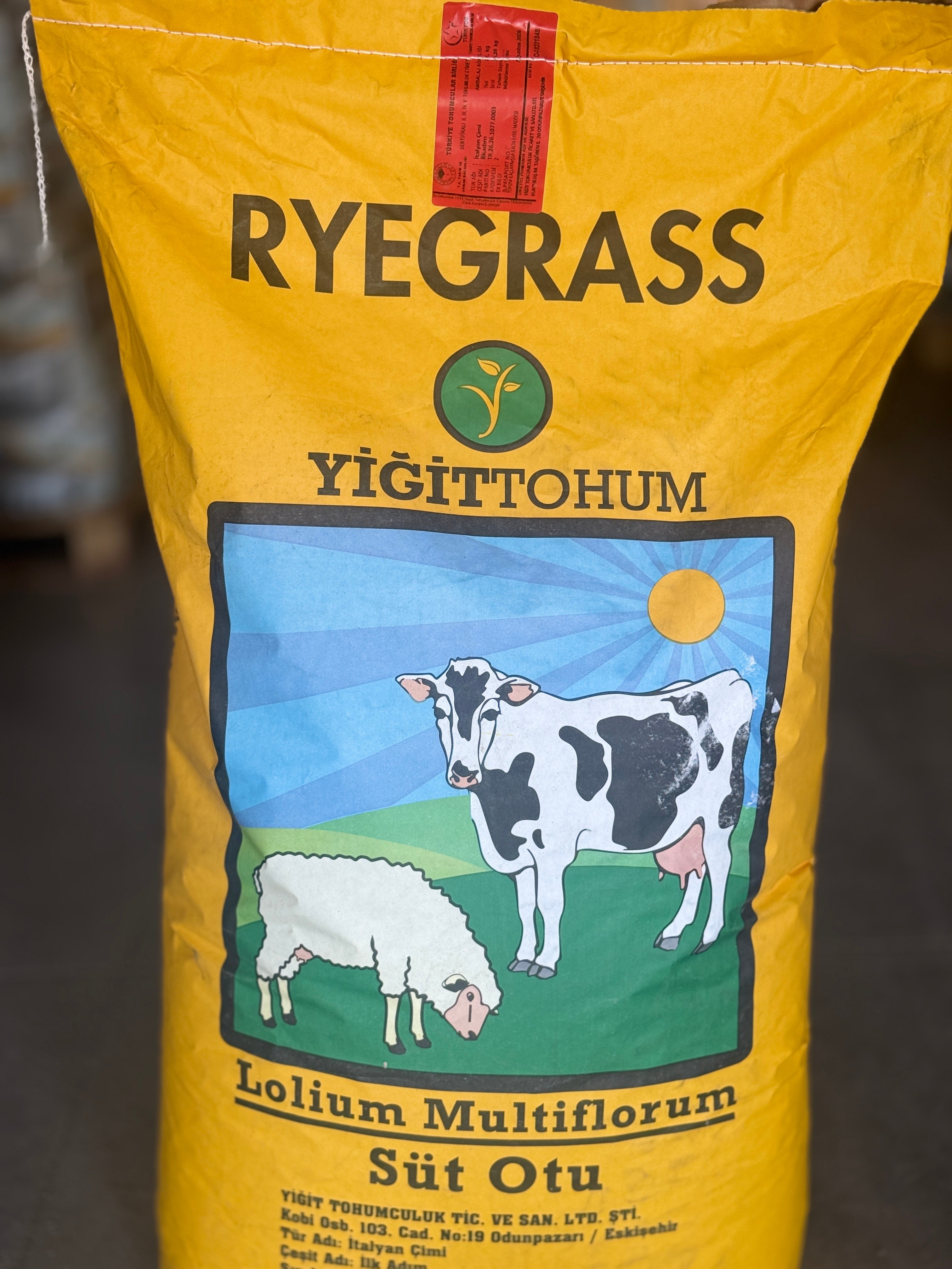 Yiğit Tohum Ryegrass Süt Otu Tohumu 25 KG