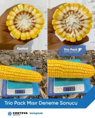 Corteva Trio Pack Mikrobiyal Azot Bağlayıcı Gübre - Blue N - Liqhumus - Cellerate 3'lü Set