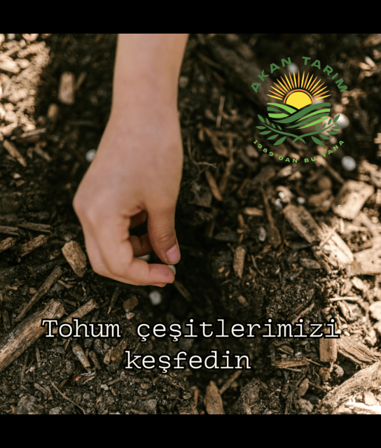 Eviniz ihtiyacı olan tohumlar en uygun fiyatlarla sizlerle